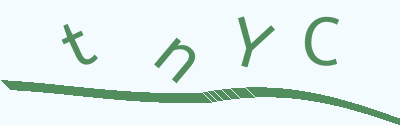 验证码